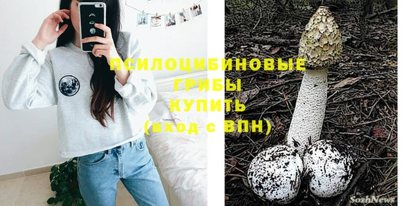 сатива Магадан