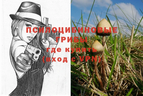 mdma Медногорск
