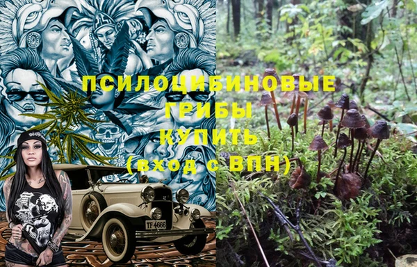 a pvp Магас