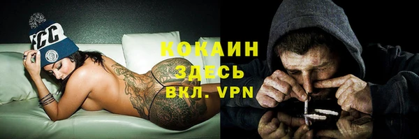 a pvp Магас