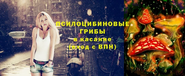 a pvp Магас