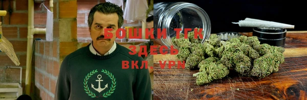 a pvp Магас